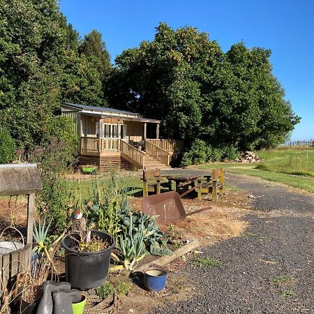 Villa The Treehut à Ohauiti Extérieur photo