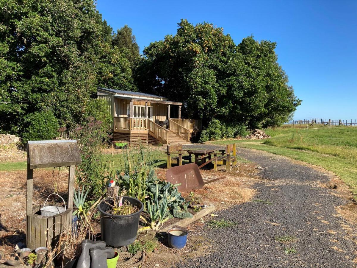 Villa The Treehut à Ohauiti Extérieur photo